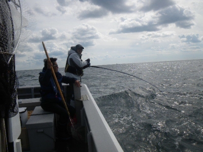 磯部釣船 直栄丸 釣果