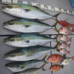 磯部釣船 直栄丸 釣果