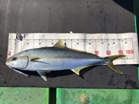 海宝丸　島根 釣果