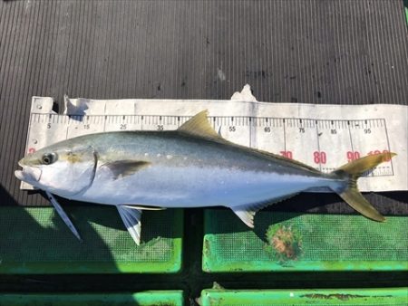 海宝丸 島根 釣果