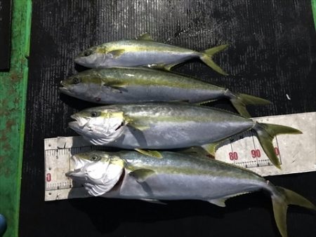 海宝丸 島根 釣果