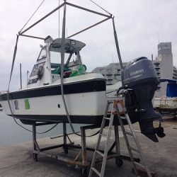 フィッシングボート空風(そらかぜ) 釣果