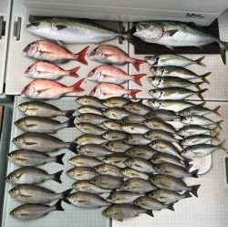 さぶろう丸 釣果