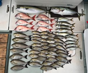 さぶろう丸 釣果