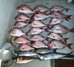 さぶろう丸 釣果