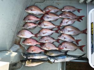 さぶろう丸 釣果