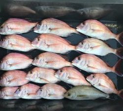 さぶろう丸 釣果