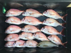 さぶろう丸 釣果