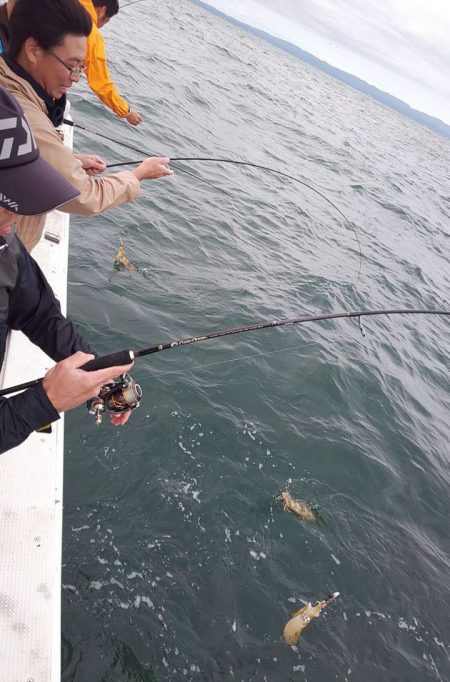 金剛丸 釣果