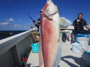 兼六丸 釣果