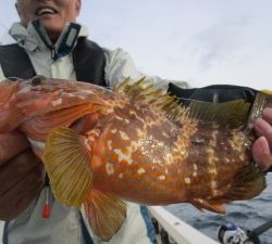 兼六丸 釣果