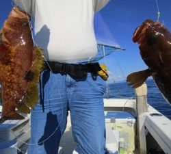 兼六丸 釣果
