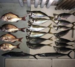 さぶろう丸 釣果