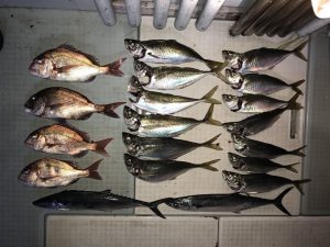 さぶろう丸 釣果
