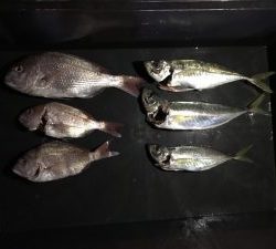 さぶろう丸 釣果