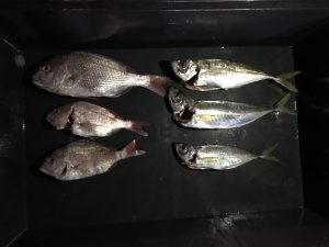 さぶろう丸 釣果