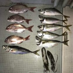 さぶろう丸 釣果