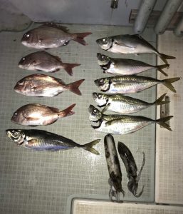 さぶろう丸 釣果