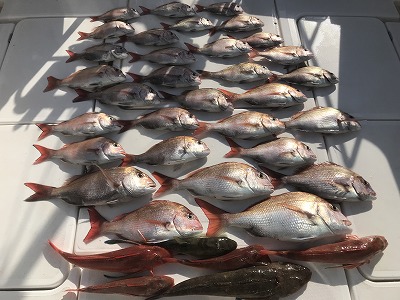 フィシングボートAir(エアー) 釣果