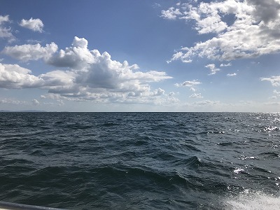 フィシングボートAir(エアー) 釣果