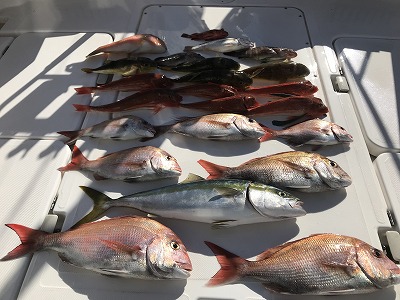 フィシングボートAir(エアー) 釣果