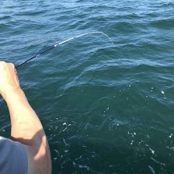 フィシングボートAir(エアー) 釣果