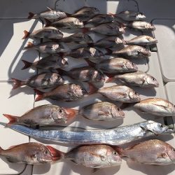 フィシングボートAir(エアー) 釣果