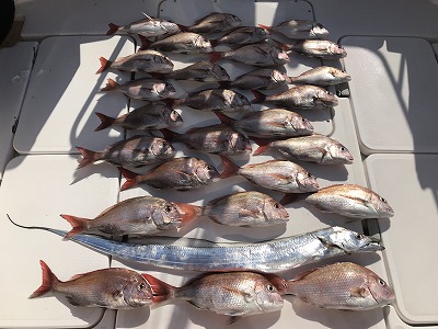 フィシングボートAir(エアー) 釣果