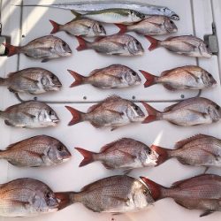 フィシングボートAir(エアー) 釣果