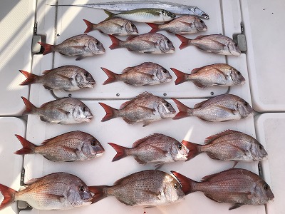 フィシングボートAir(エアー) 釣果