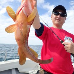 Aquanaut(アクアノート) 釣果