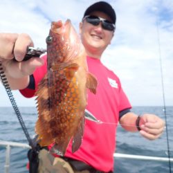 Aquanaut(アクアノート) 釣果