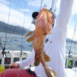 Aquanaut(アクアノート) 釣果