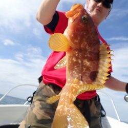 Aquanaut(アクアノート) 釣果