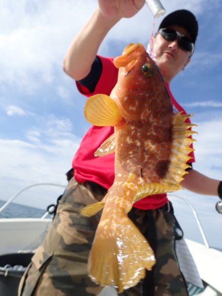 Aquanaut(アクアノート) 釣果