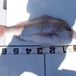 Aquanaut(アクアノート) 釣果