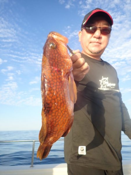 Aquanaut(アクアノート) 釣果