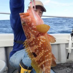 Aquanaut(アクアノート) 釣果