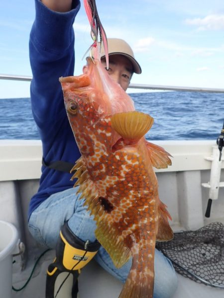 Aquanaut(アクアノート) 釣果