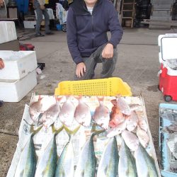 久六釣船 釣果
