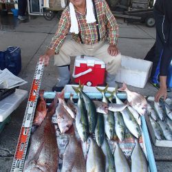 久六釣船 釣果