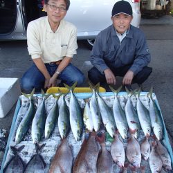 久六釣船 釣果