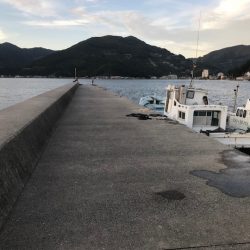 愛媛県内のファミリーフィッシングにお勧めのポイントを紹介します【飛利浦氏連載 vol.4】