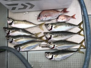 さぶろう丸 釣果