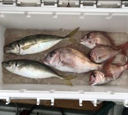 さぶろう丸 釣果