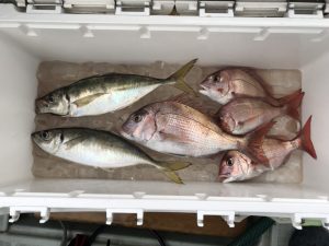 さぶろう丸 釣果