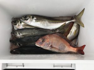 さぶろう丸 釣果