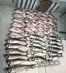 さぶろう丸 釣果