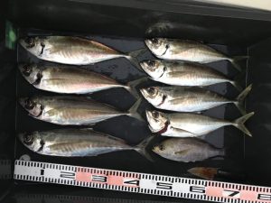 さぶろう丸 釣果