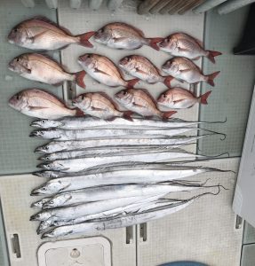 さぶろう丸 釣果